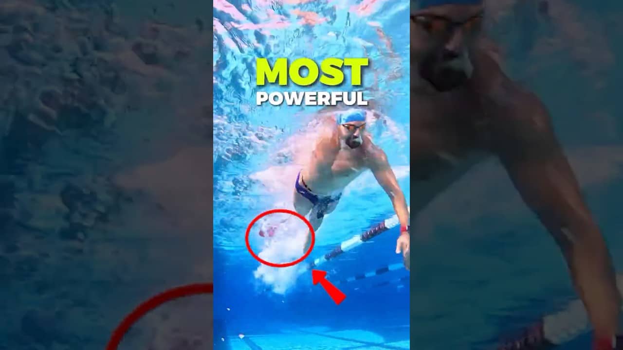 Weightlifting, but make it underwater. 🏋️‍♂️