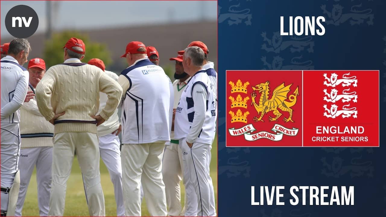 LIVE STREAM - Dragons v Lions