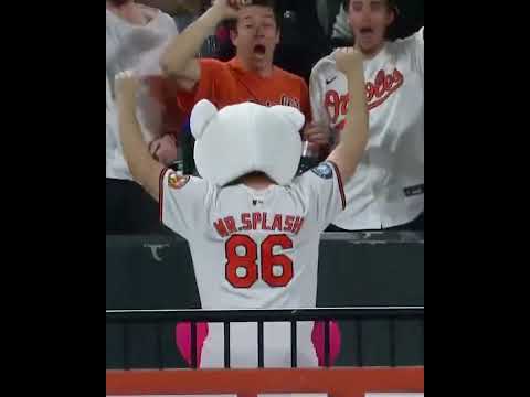 Pete Alonso hit a homer to Mr. Splash wearing a polar bear head 🐻‍❄️😂