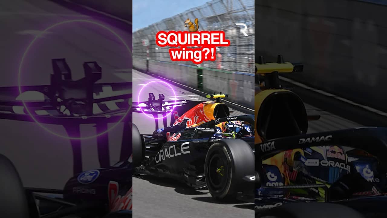 RADICAL Monaco winglets explained 🐿️