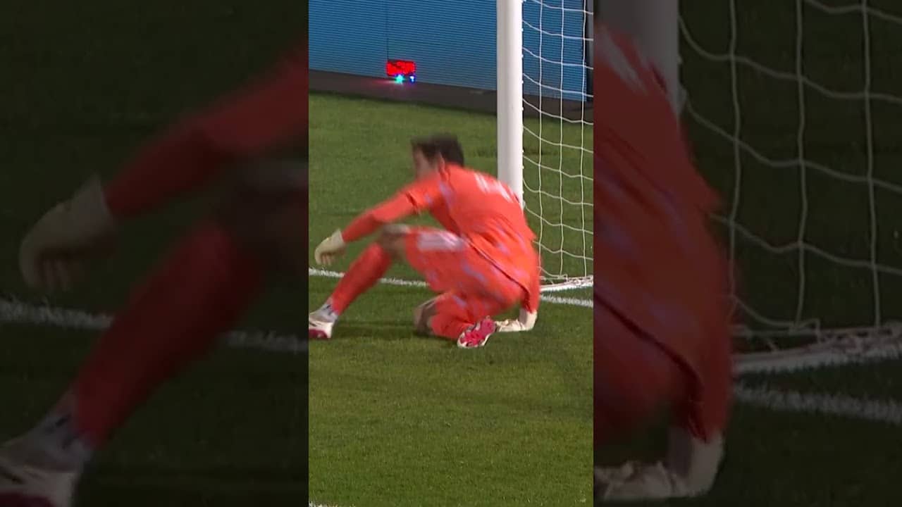 🧤NICO HANSEN PK SAVE