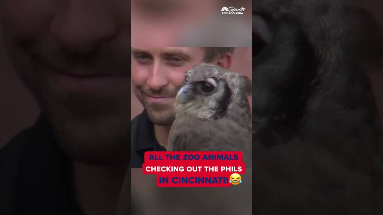 We got ZOO ANIMALS checking out the Phils in Cincy 😂