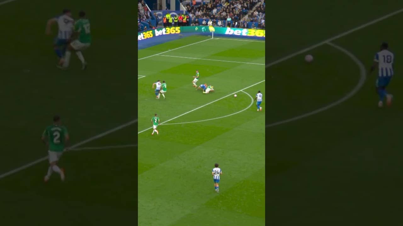 🤩 Danny at the double against Newcastle! #brightonandhovealbion