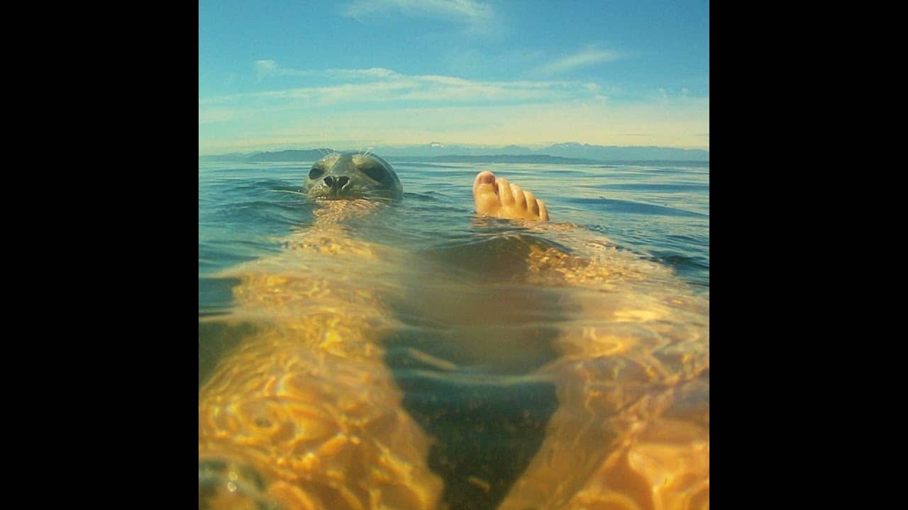 Melissa Kegler's Marathon Swim Story