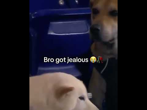 😭😭😭