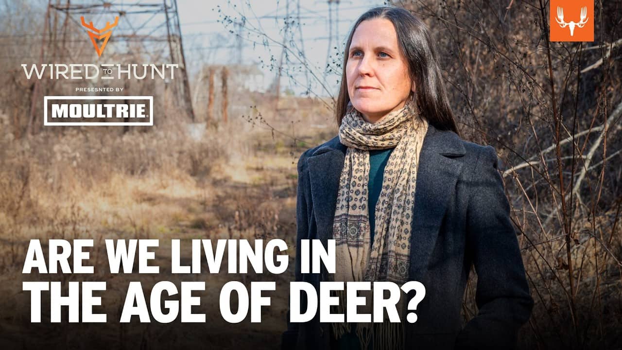 A Non-Hunter's Surprising Experience Diving Headfirst into the World of Deer | Wired to Hunt Ep.1037