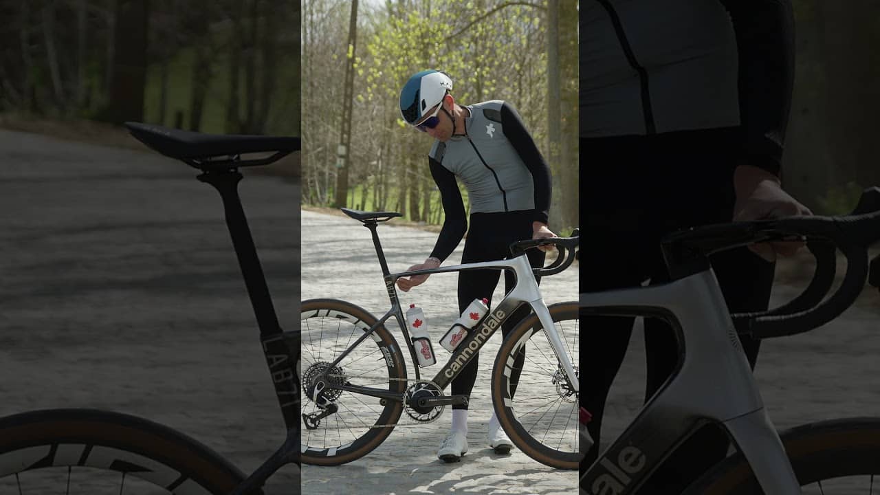 Ted King LAB71 Synapse BIKE CHECK ✔️ #shorts