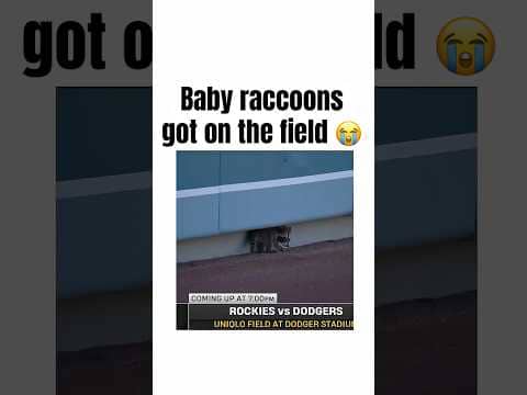 dodgers have gone too far now 😭