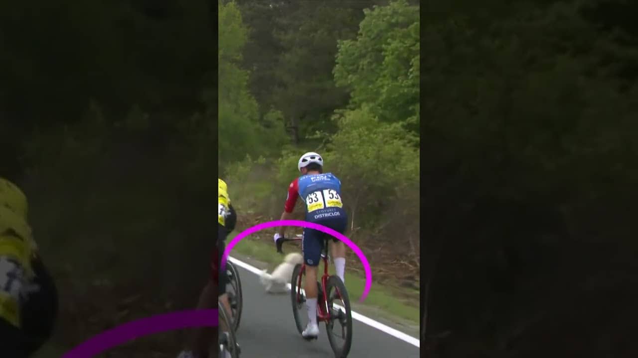Too close for comfort 😮‍💨
