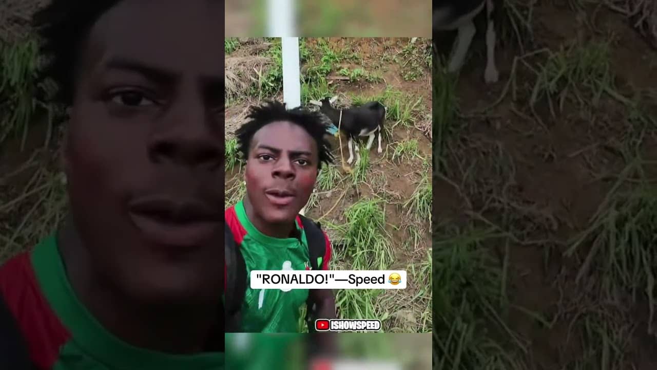 Speed saw a goat in Dominica and said it was Cristiano Ronaldo 🤣 🐐 (via @ishowspeed/TT)