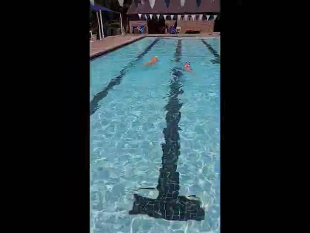 SwimMastery Swim Demo - Wings #swimming #swimtechnique