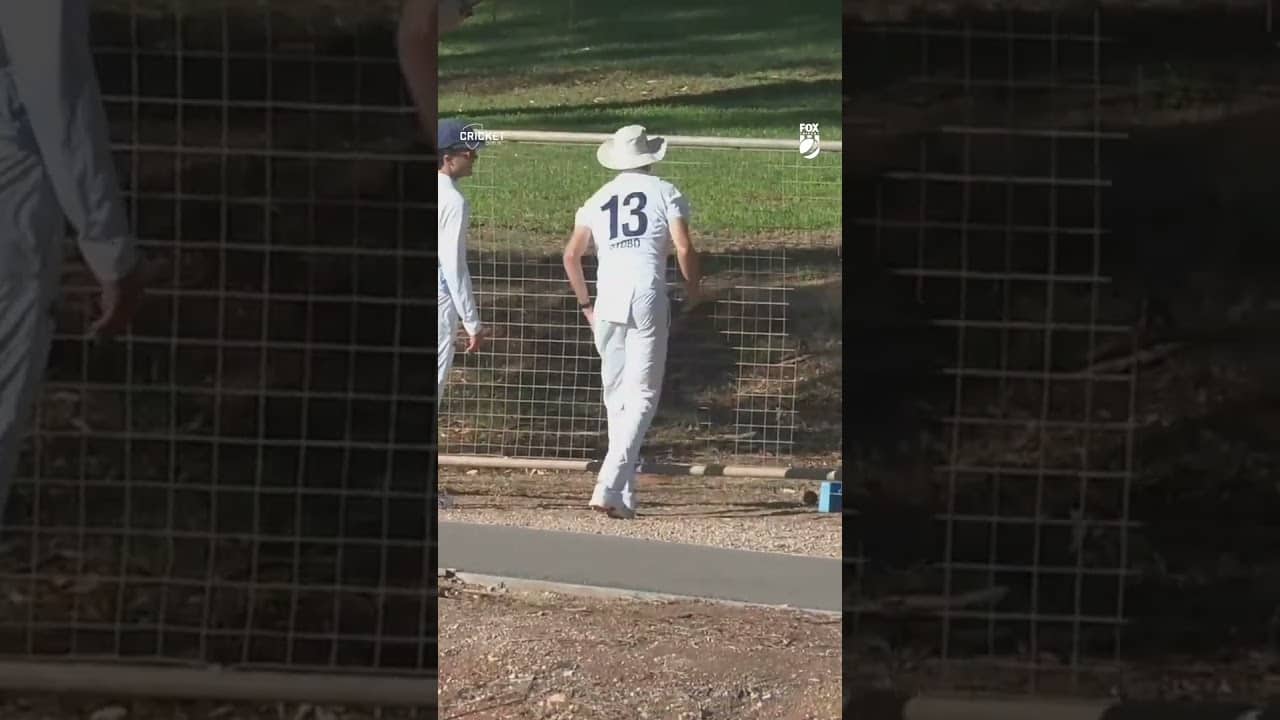 Most bizarre #SheffieldShield moment of the season 🪾