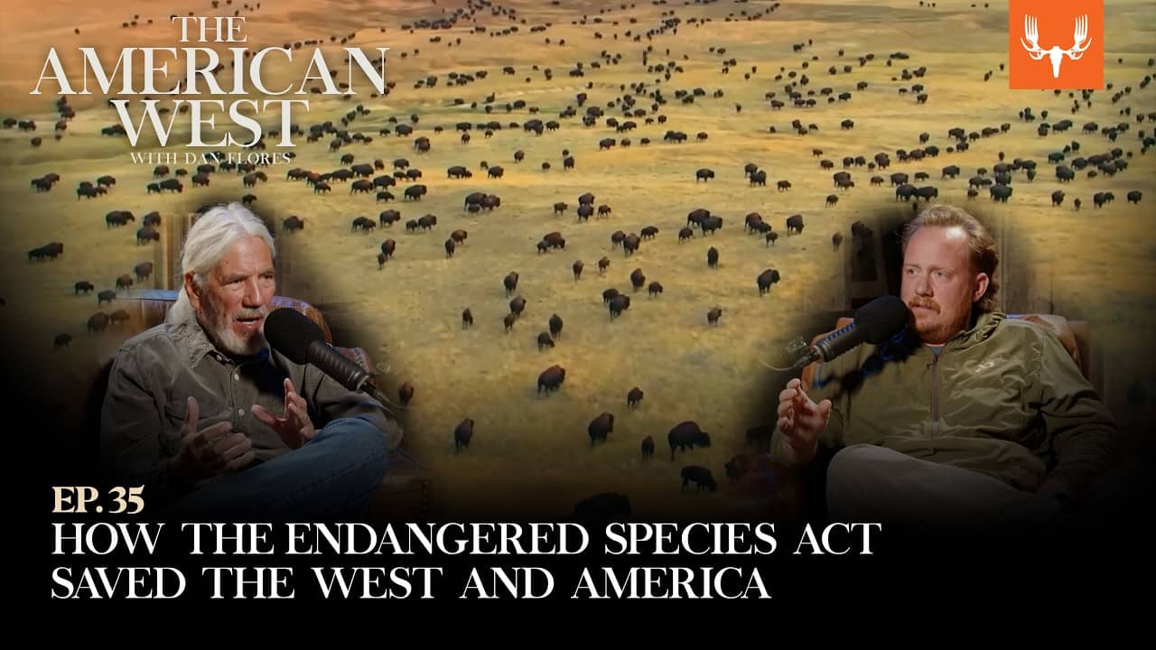 How the Endangered Species Act Saved the West and America | The American West Ep. 35