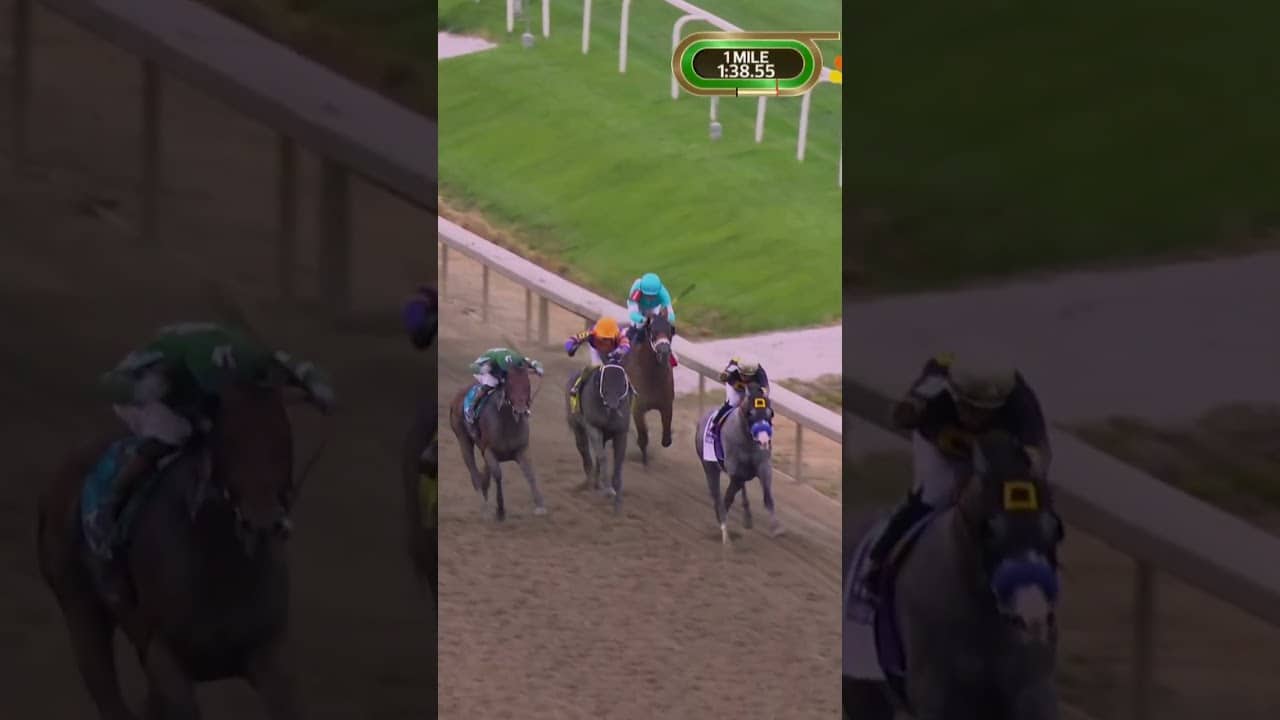 DOMINANCE at the 151st Preakness 😤🏇👑