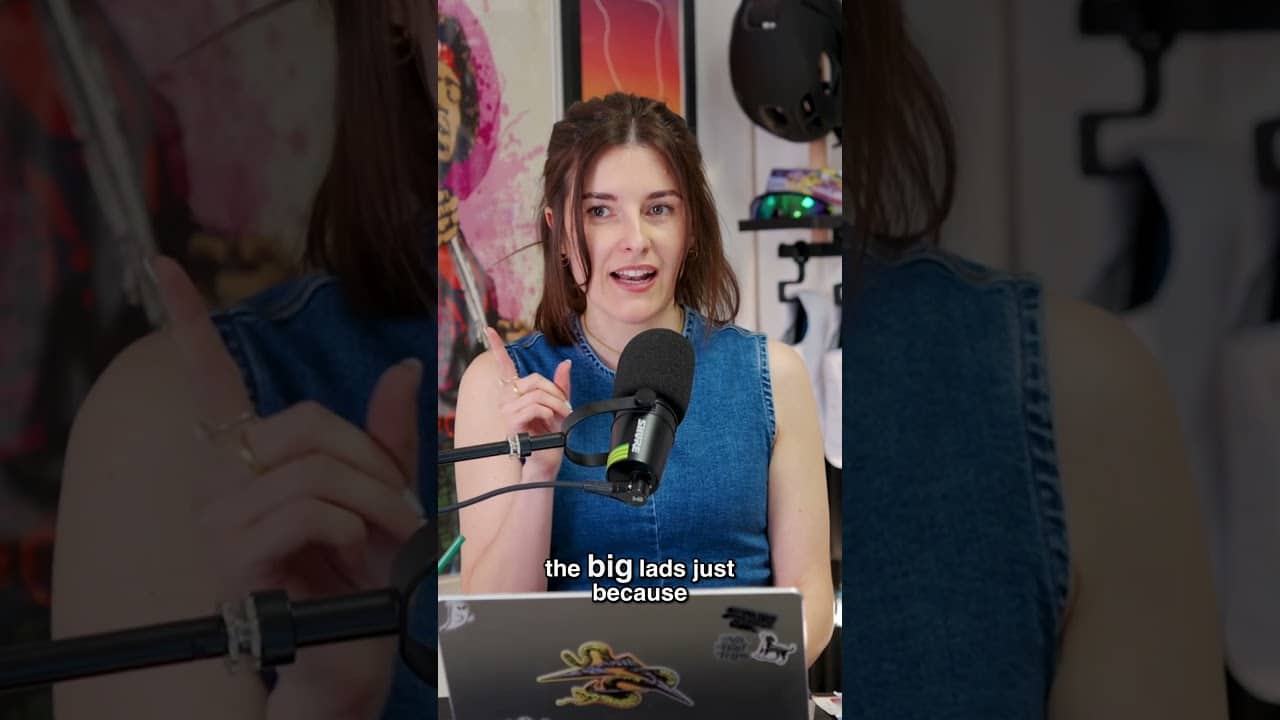 Why do people pick on the big ones?