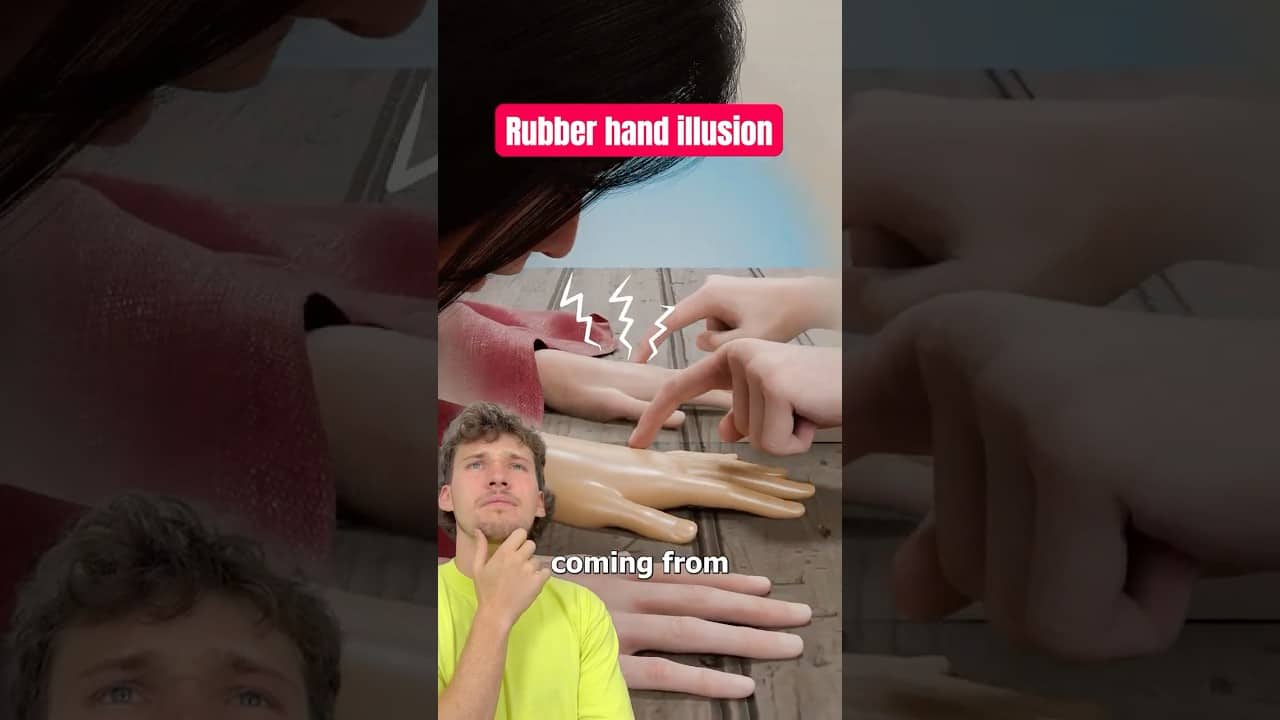 Rubber Hand Illusion!