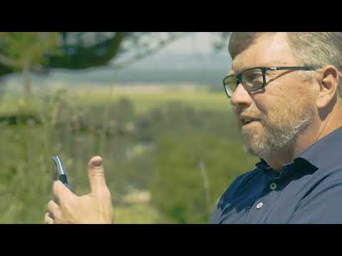 Mizuno Pro M-13 Tech Talk