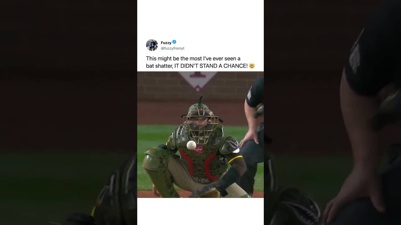 it didn't stand a chance 😲