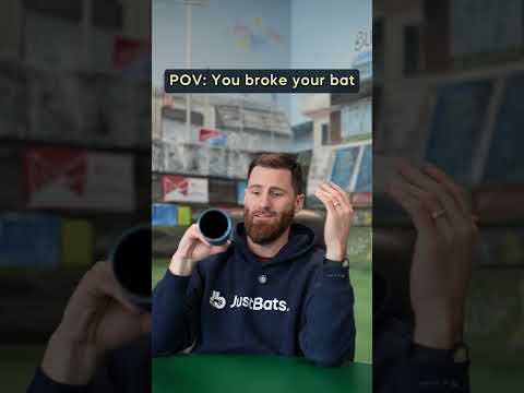 POV: You broke your bat