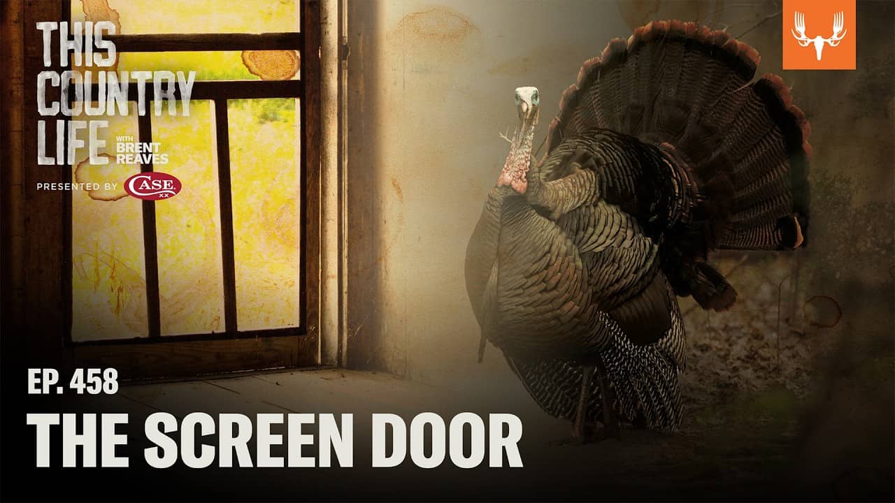 The Screen Door | This Country Life Ep. 458
