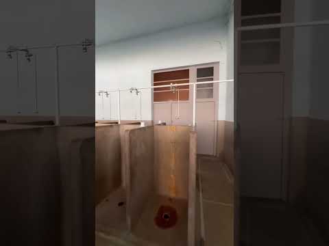 POV: You’re going to take a shower after racing Paris–Roubaix 🚿