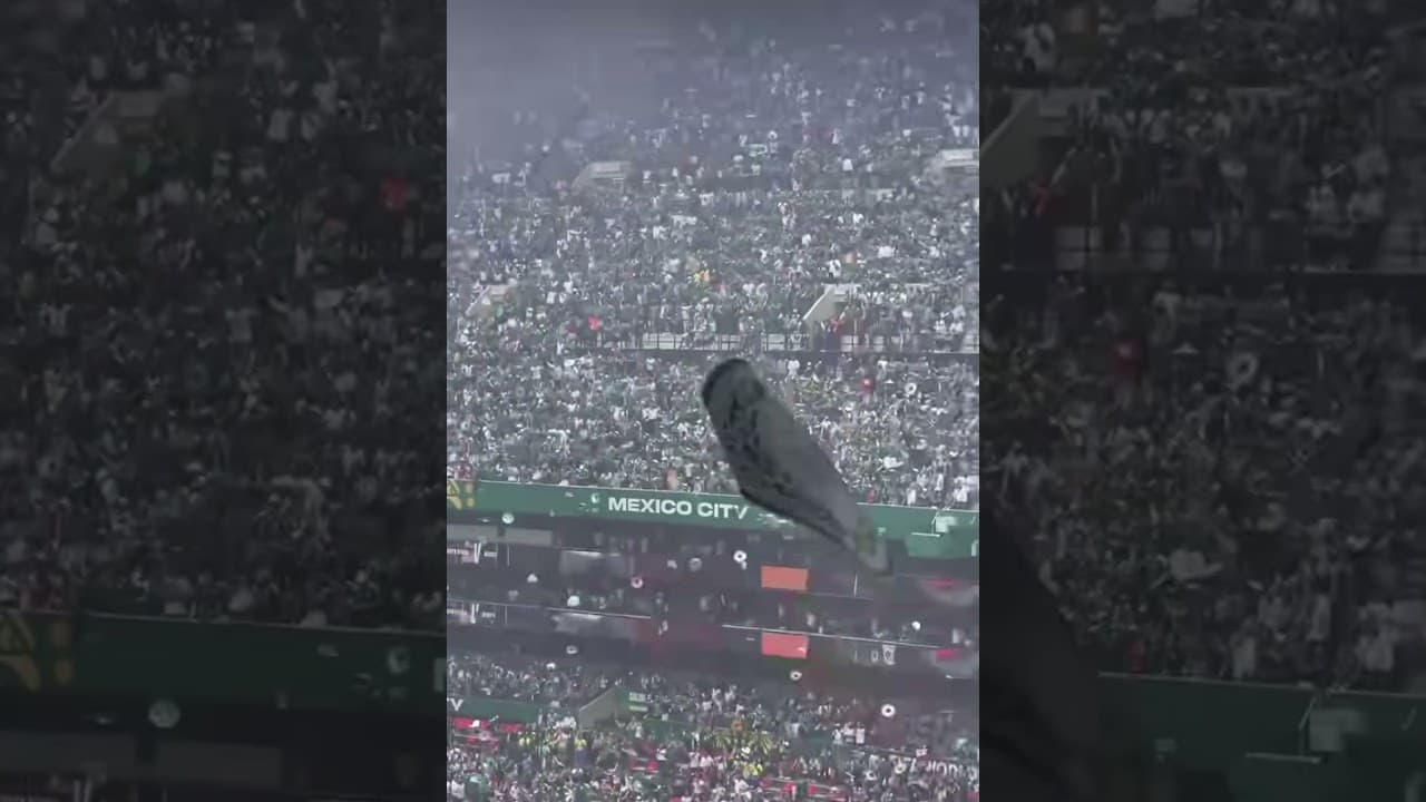 Vamos Mexico 🇲🇽