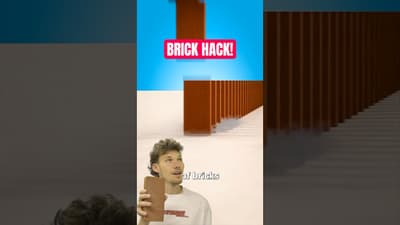 Brick Dominos!