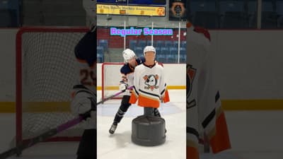 Regular Season vs. PLAYOFFS | 2026 edition #hockey #pavelbarber