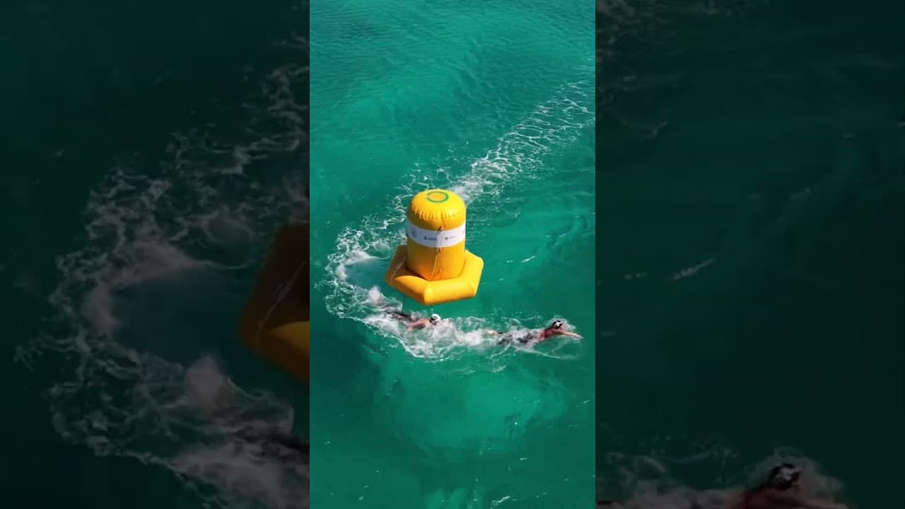 Open Water Swimming, but from above ⬆️ #openwaterswimming #drone #sea #nature #fromabove