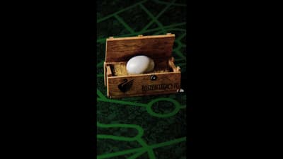 🦢👀