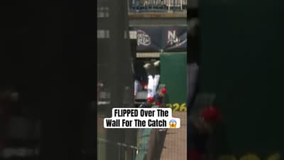 Prospect Jay Harry ran through a wall (literally) to make this catch 😱 #BlueJays #FisherCats