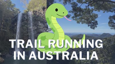 Running into a Snake in Springbrook National Park, QLD
