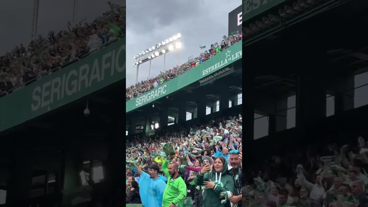 Y se desató la locura 🔥