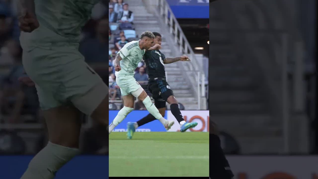🇧🇷 NAVARRO DOMINANCE