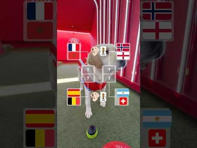 🔮🏆 Els pronòstics de la Canya pel que queda de Mundial!