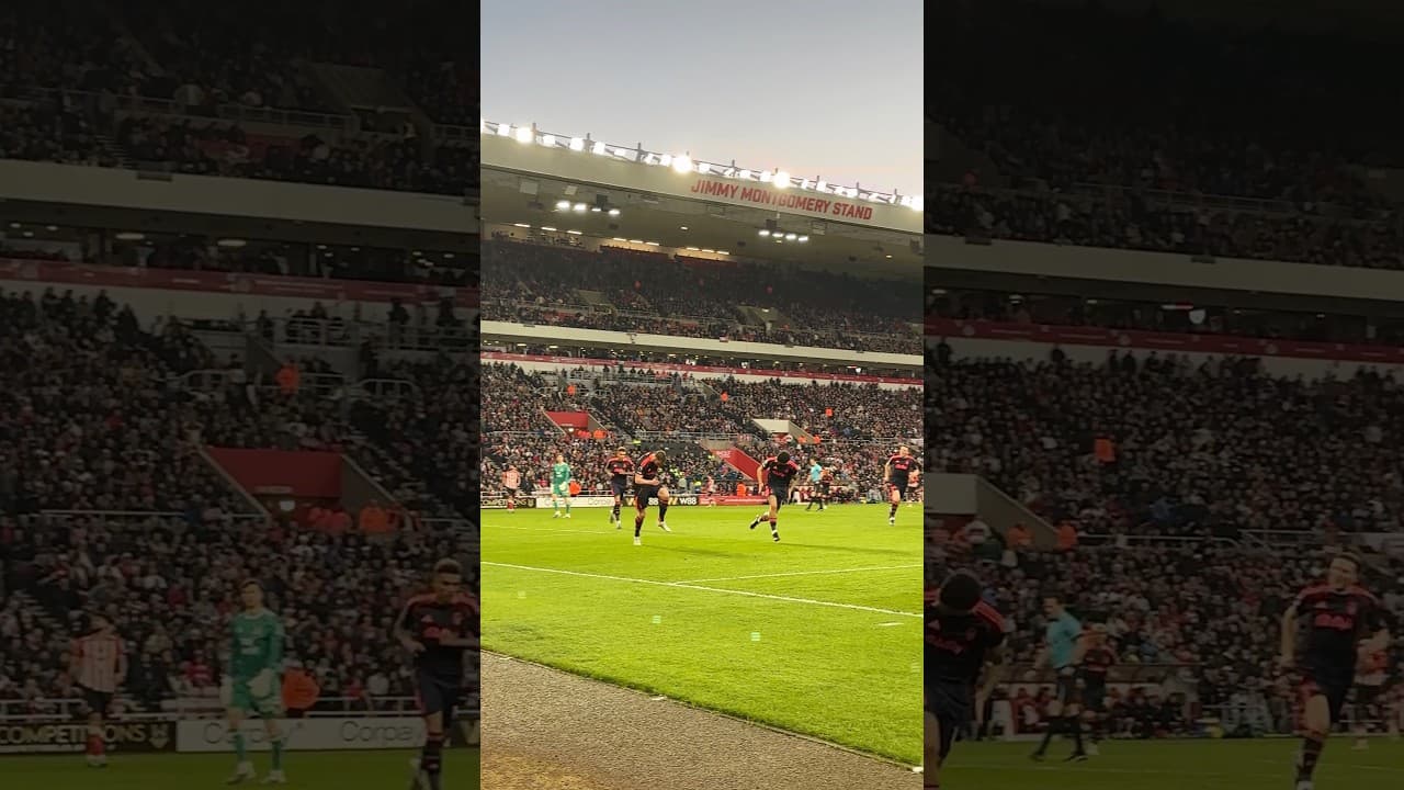 Chris Wood scores FIRST goal since returning from injury in HUGE Forest win 🙌