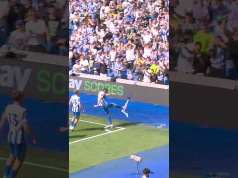 Dunk 🆚 corner flag 🚩 💥 #brightonandhovealbion #lewisdunk
