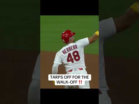 Cardinals have won 14 of their last 20 games 😤