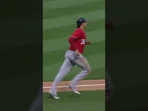 This overturned grand slam forced Michael Morse to swing without a bat and rerun the bases 😂
