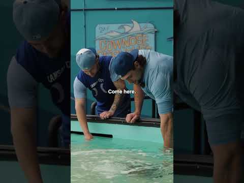 Cags and Carter Take a Trip to the Stingray Tank #kcroyals #stingray #micdup #baseball