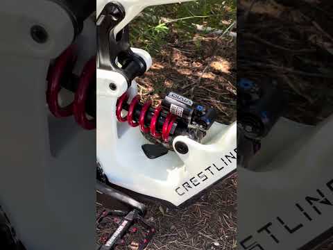 One Crestline Frame, Two Distinct Personalities