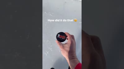 My Rink is RUINED!