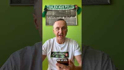 Ein Fohlen aus Polen 🐎🇵🇱 #dieFohlen