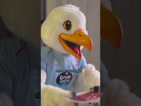 Stop that, Chiño 🪽😆 #shorts