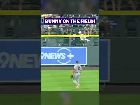 Just hopping through the outfield 🐇