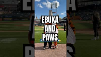 sorry Paws 🤷 #pistons #nba #detroittigers