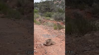 Close call with a rattler on Cocodona 250
