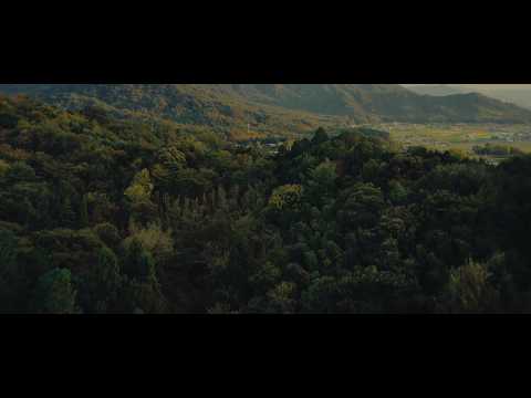 Authentically Forged: Inside Mizuno's Legacy