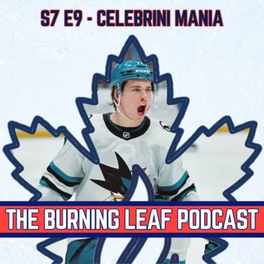 CELEBRINI MANIA | 7.9