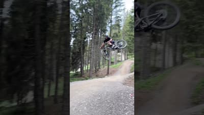 BIKEPARK Final Boss = Richie